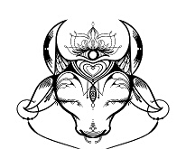 Breezy_Bull